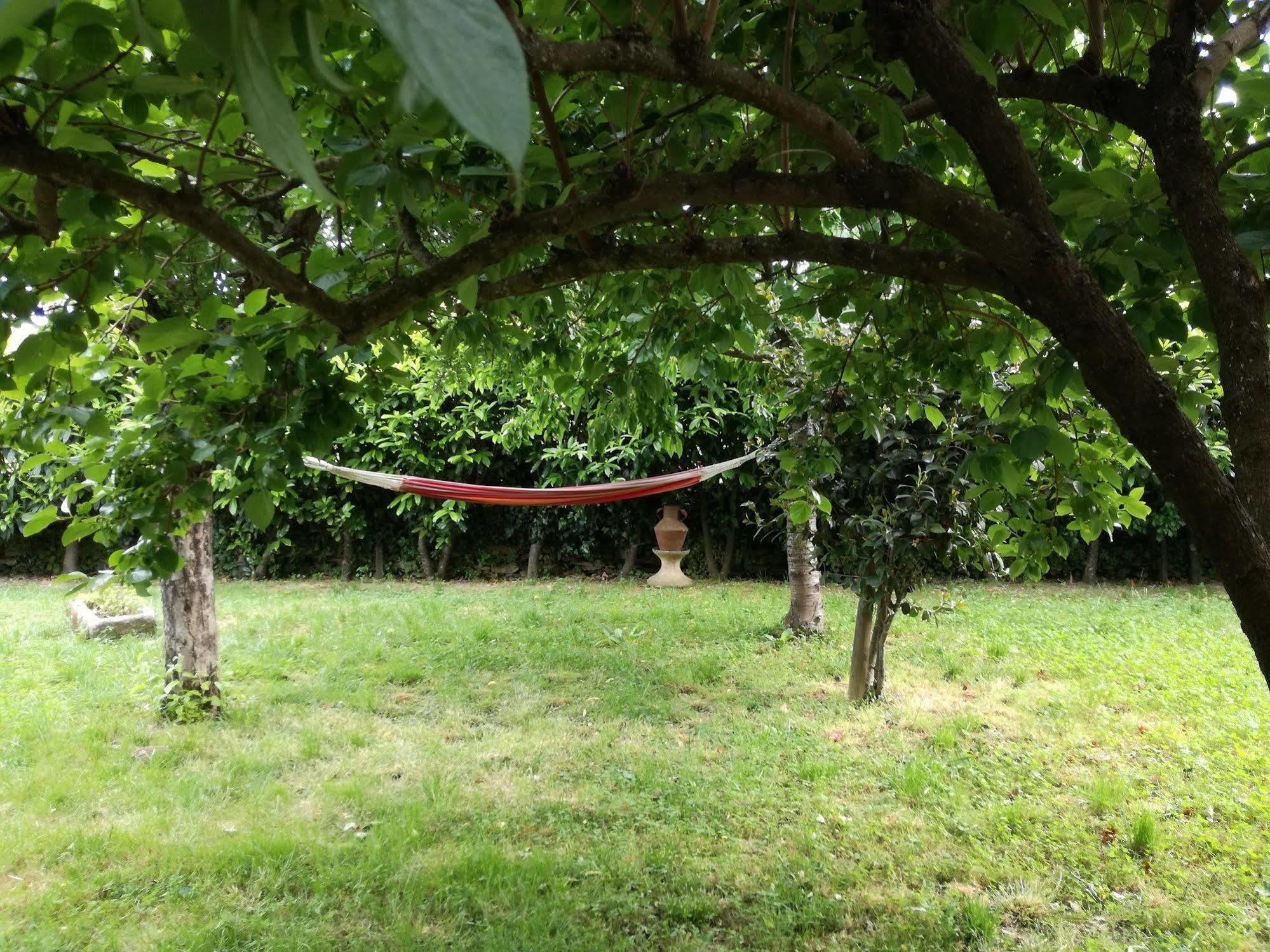 Villa O Ze Ja Dormiu Aqui Celeiros Exterior foto