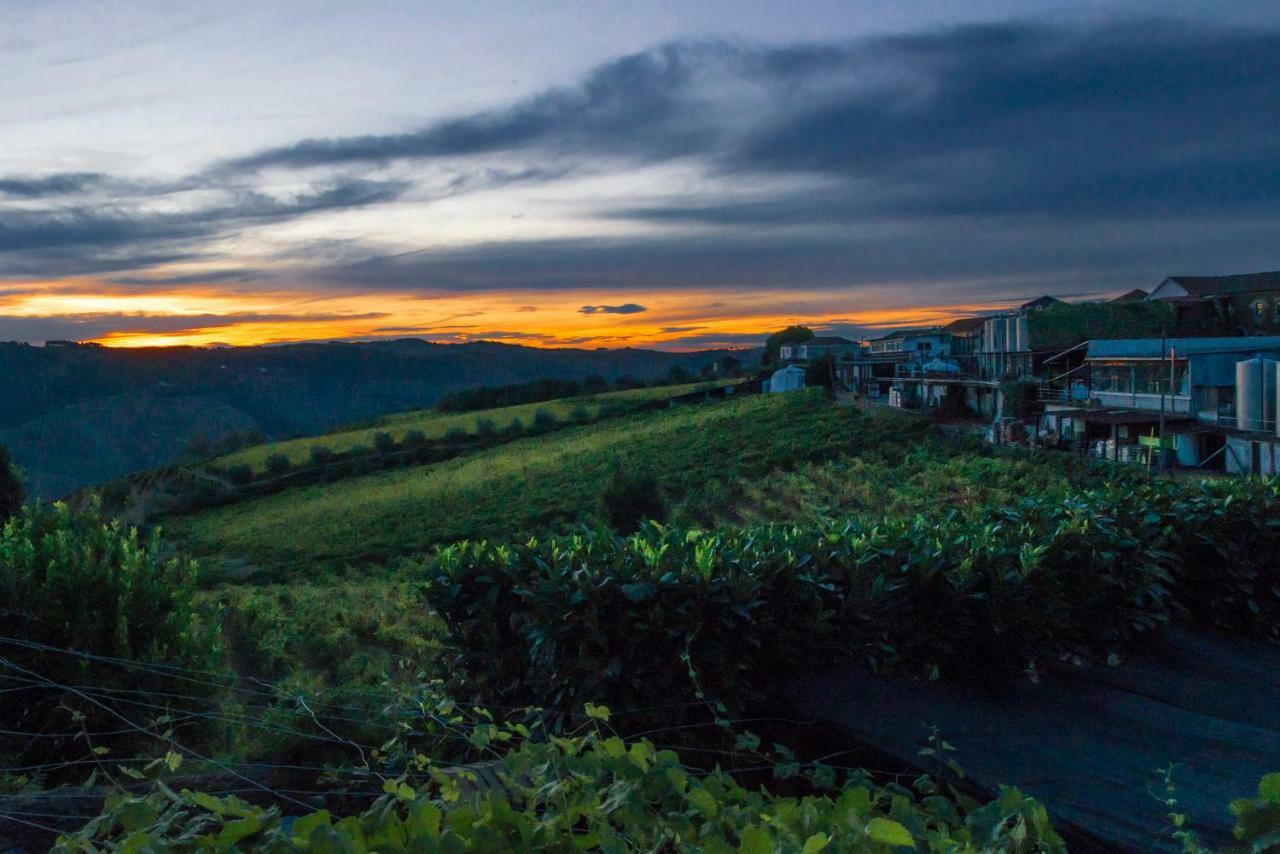 Villa O Ze Ja Dormiu Aqui Celeiros Exterior foto